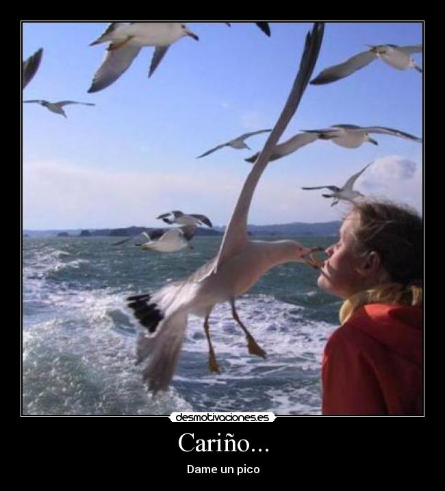 Cariño... - Dame un pico