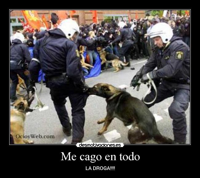 Me cago en todo - LA DROGA!!!!