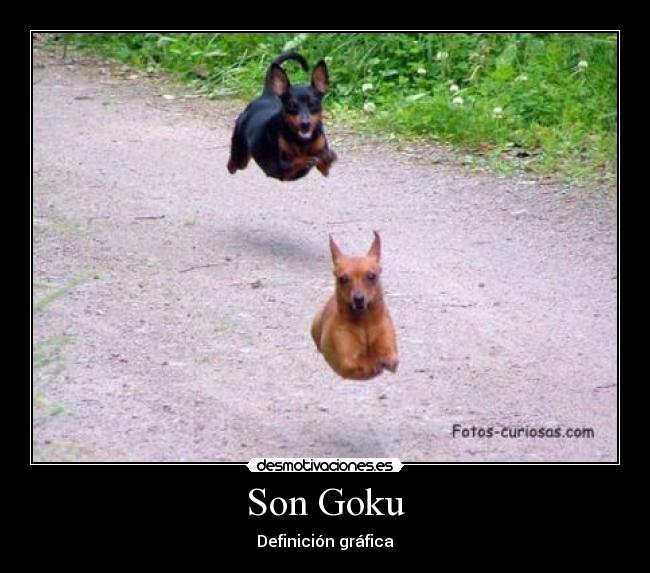 Son Goku -