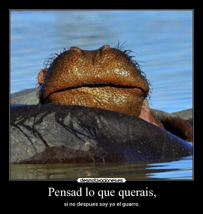 carteles hipopotamo labios como un principal desmotivaciones