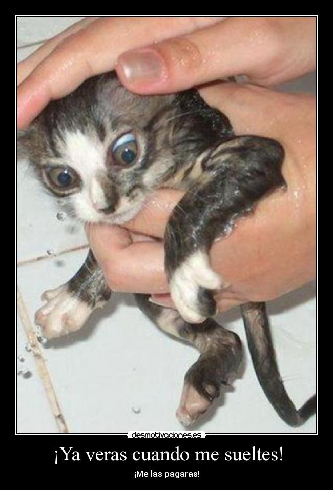 ¡Ya veras cuando me sueltes! -