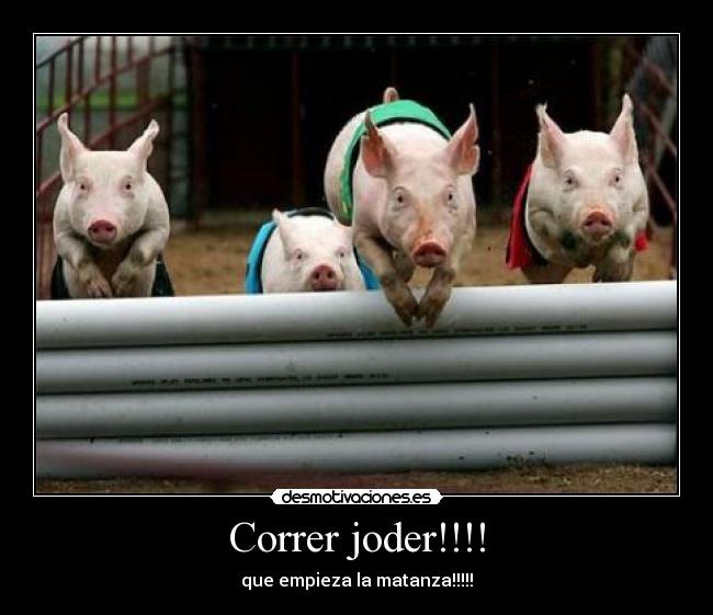 Correr joder!!!! - que empieza la matanza!!!!!