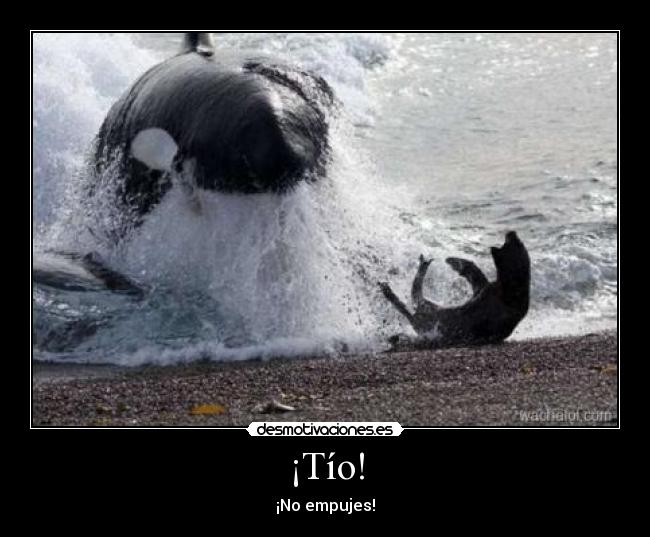 ¡Tío! - ¡No empujes!