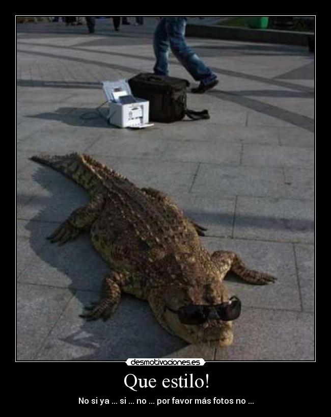 Que estilo! - No si ya ... si ... no ... por favor más fotos no ...