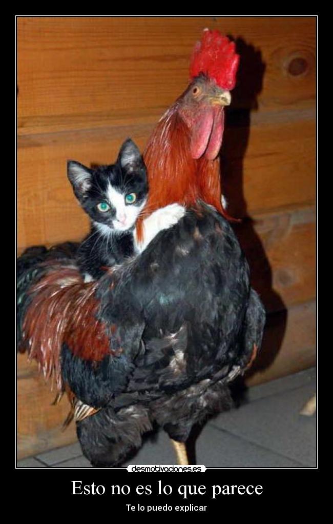 carteles desmotivaciones