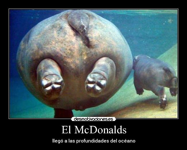 El McDonalds - llegó a las profundidades del océano