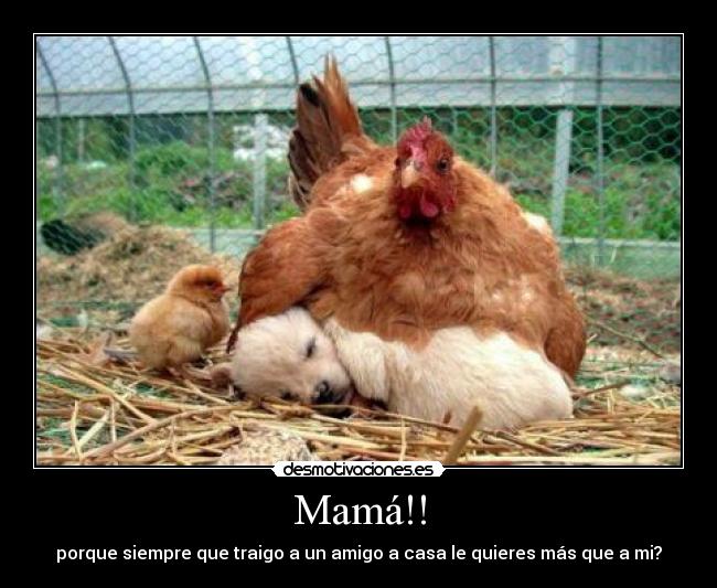 Mamá!! - 