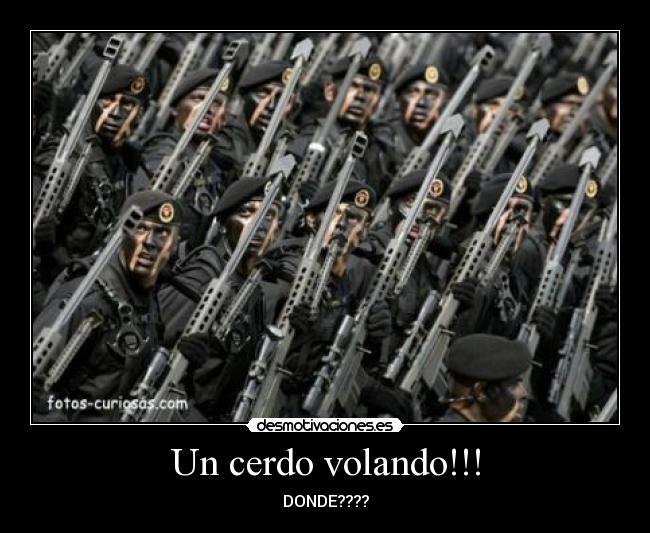 Un cerdo volando!!! -