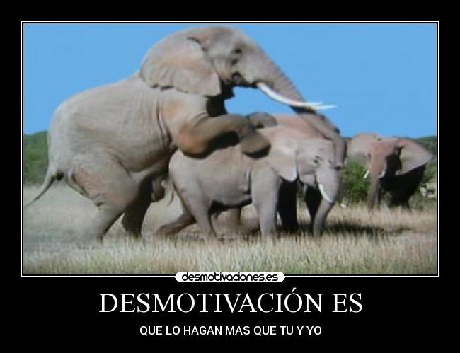 carteles sexo desmotivaciones