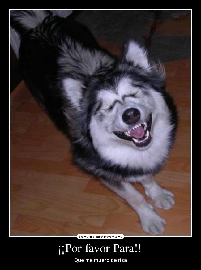 ¡¡Por favor Para!!  - 