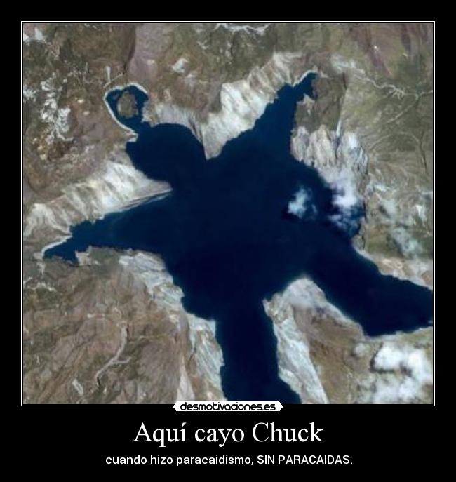 carteles chuck norris paracaidas fotos graciosas pedobear desmotivaciones