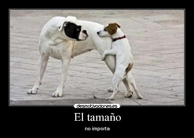 El tamaño - no importa
