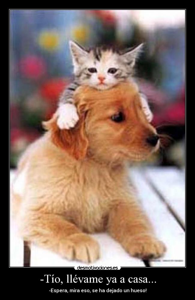 -Tío, llévame ya a casa... -
