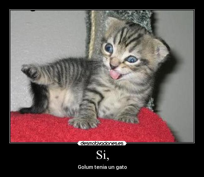 Si, - Golum tenia un gato
