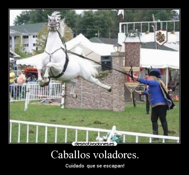 Caballos voladores. -