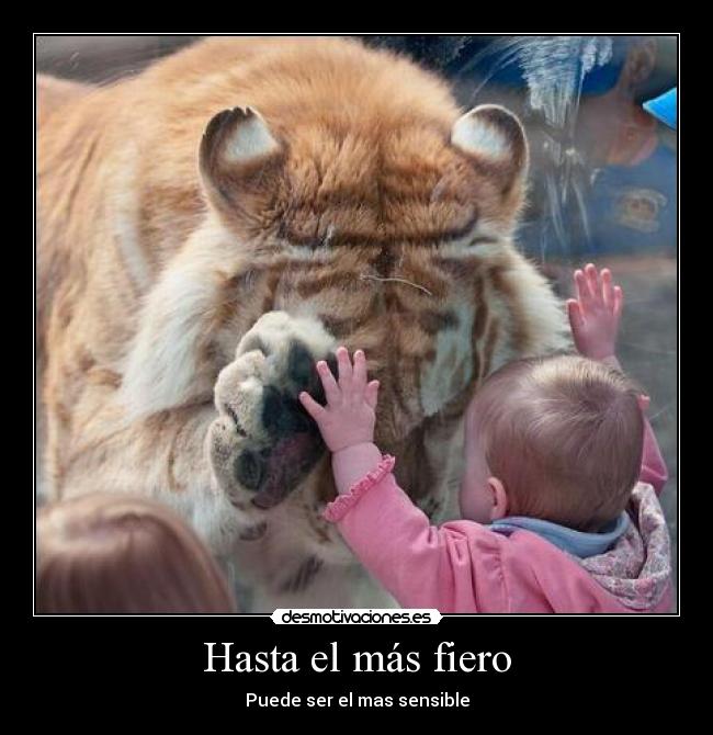 Hasta el más fiero - 