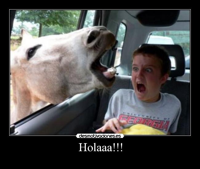 Holaaa!!! - 