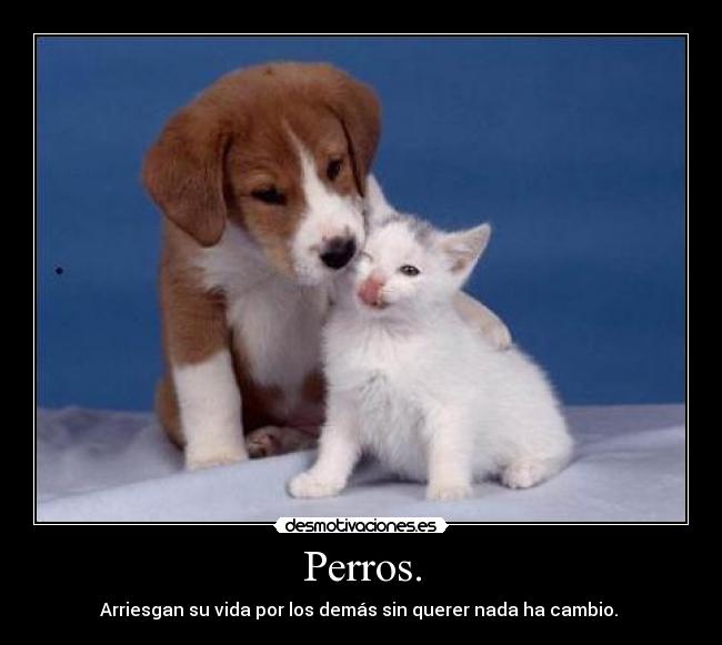 carteles desmotivaciones