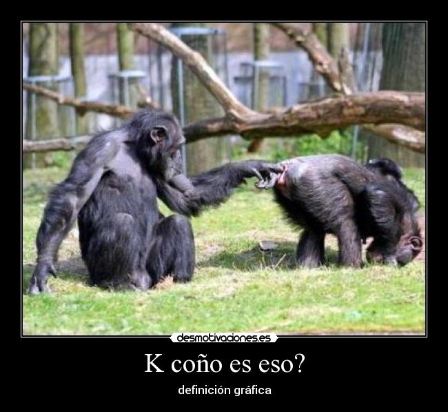K coño es eso? - 