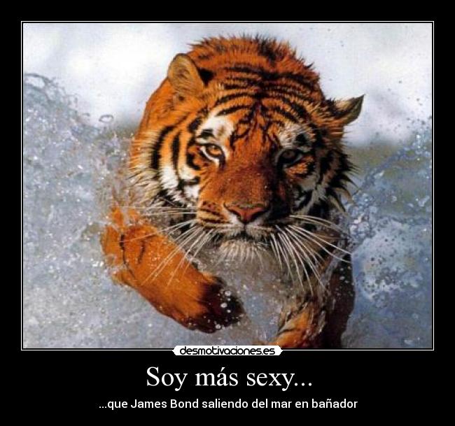 Soy más sexy... - ...que James Bond saliendo del mar en bañador
