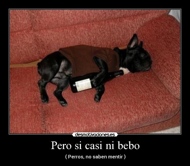 carteles perro desmotivaciones