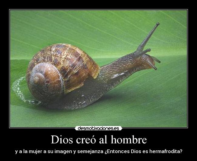 Dios creó al hombre - 
