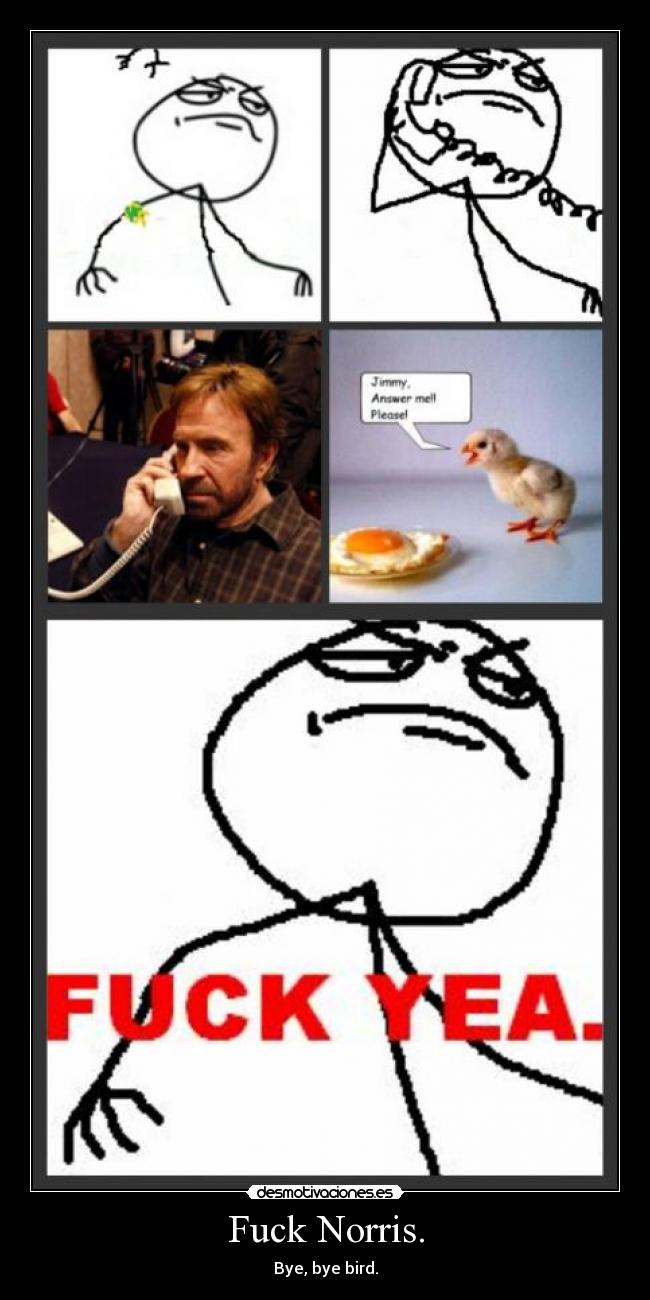 Fuck Norris. - 