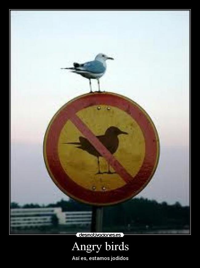 Angry birds - Así es, estamos jodidos