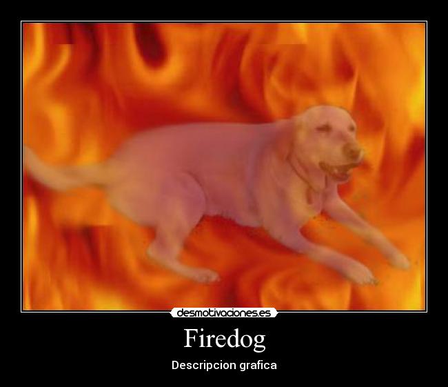 Firedog - Descripcion grafica