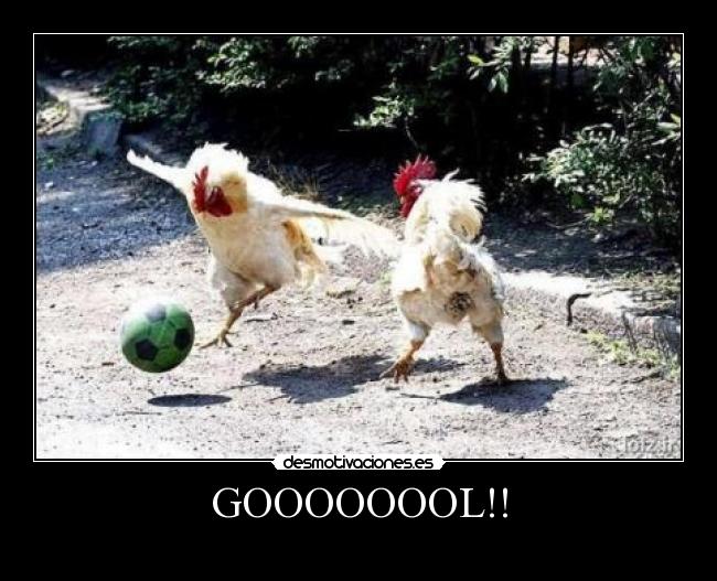 GOOOOOOOL!! - 