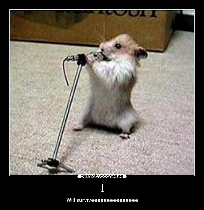 I - Will surviveeeeeeeeeeeeeee