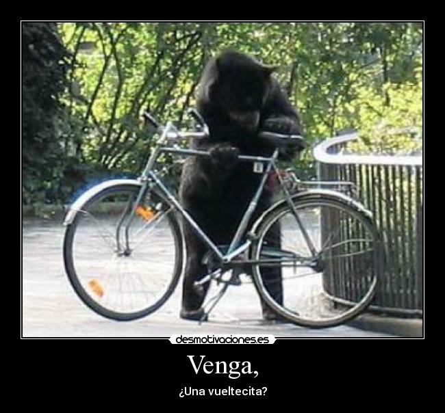 Venga, - ¿Una vueltecita?