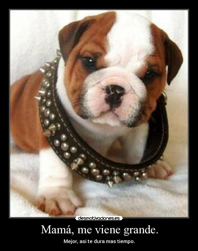 Mamá, me viene grande. - Mejor, asi te dura mas tiempo.