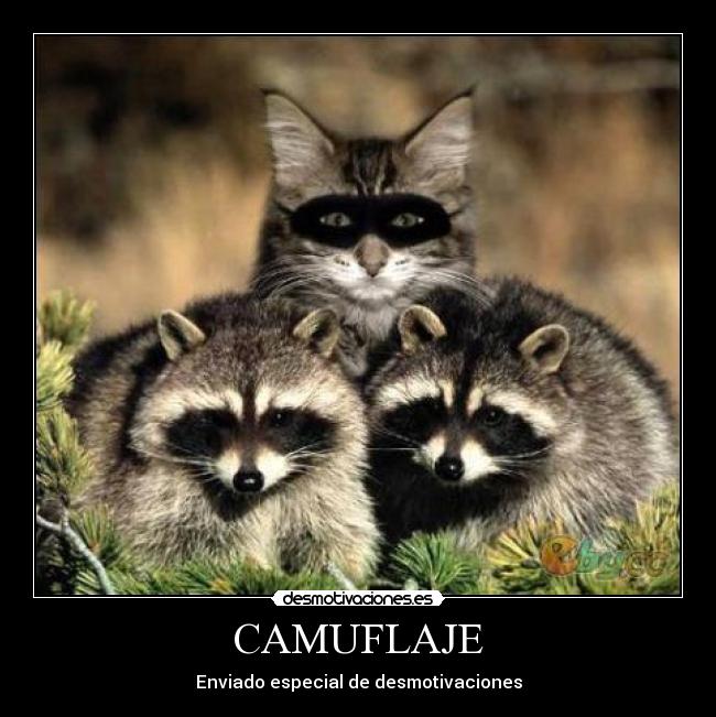 CAMUFLAJE - Enviado especial de desmotivaciones