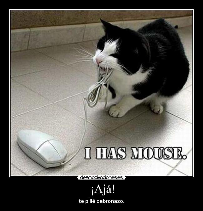 ¡Ajá! - te pillé cabronazo.