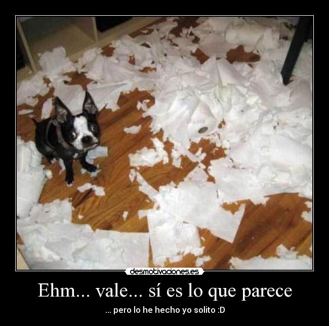 Ehm... vale... sí es lo que parece - 