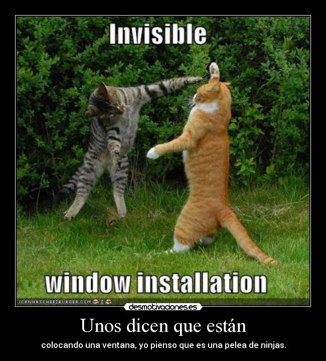 Unos dicen que están - colocando una ventana, yo pienso que es una pelea de ninjas.
