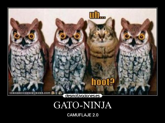GATO-NINJA - CAMUFLAJE 2.0