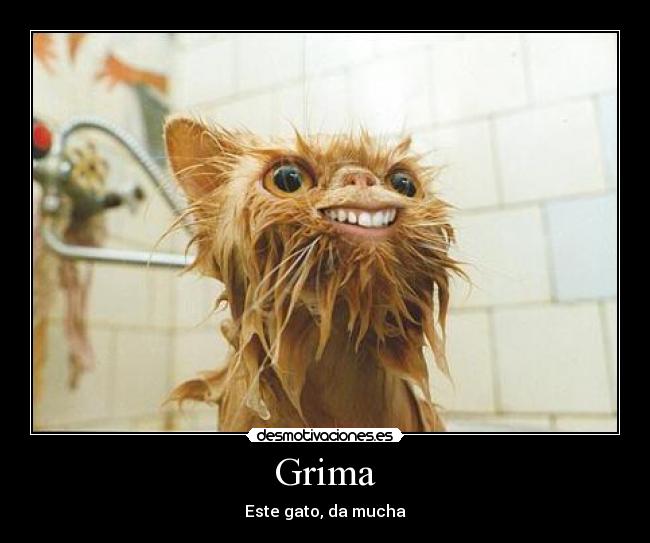 Grima - 