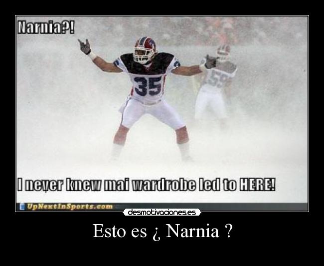 Esto es ¿ Narnia ? -