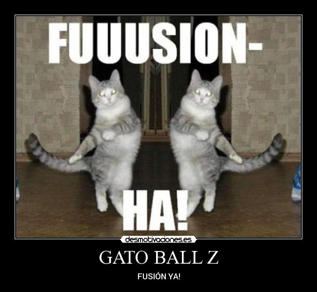GATO BALL Z - FUSIÓN YA!
