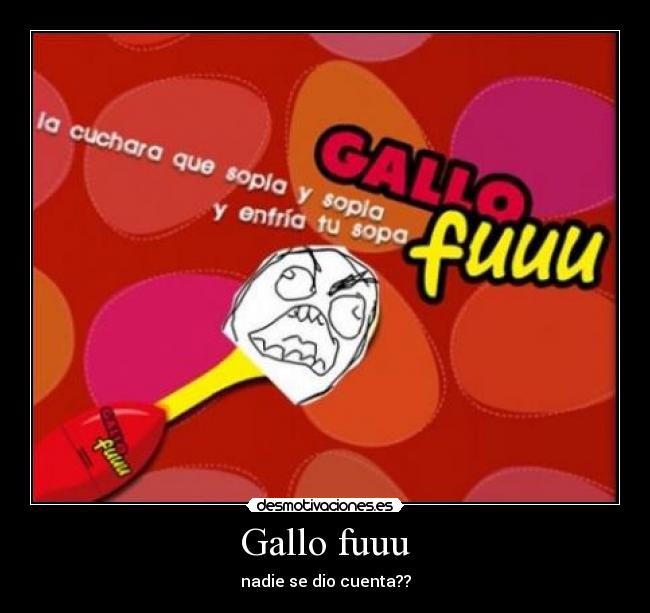 Gallo fuuu -