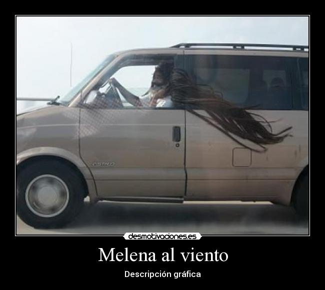 Melena al viento - 