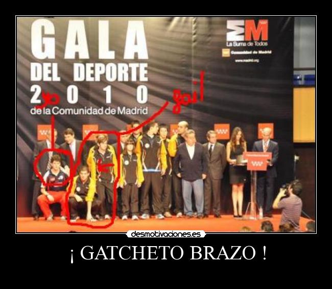 ¡ GATCHETO BRAZO ! - 