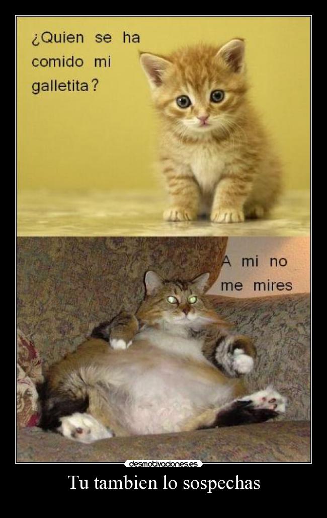 Tu tambien lo sospechas -