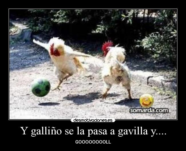 Y galliño se la pasa a gavilla y.... - GOOOOOOOOLL