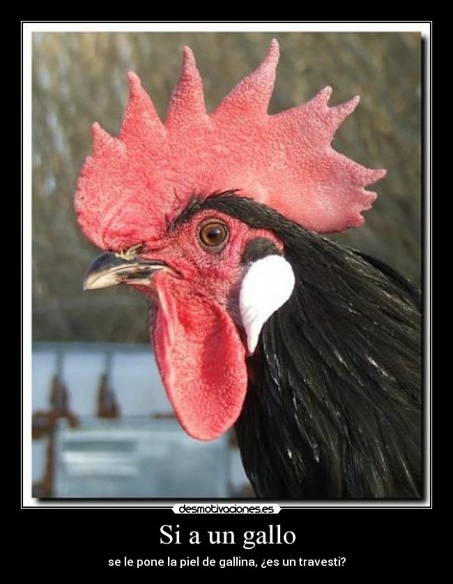 carteles millu desmotivaciones