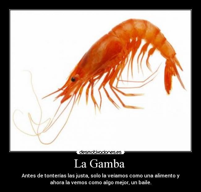 Opiniones de La Gamba