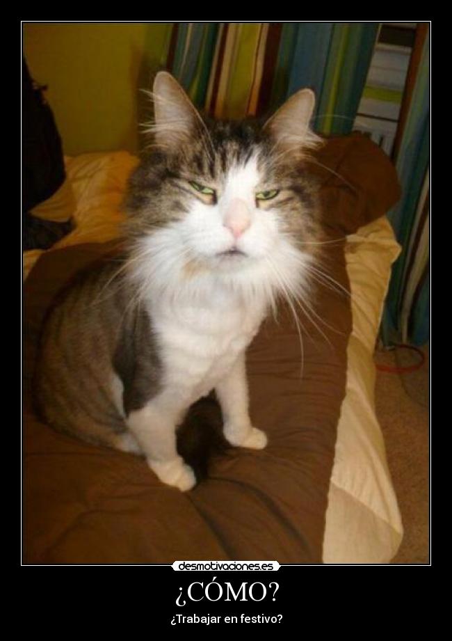 carteles como trabajar festivo desmotivaciones