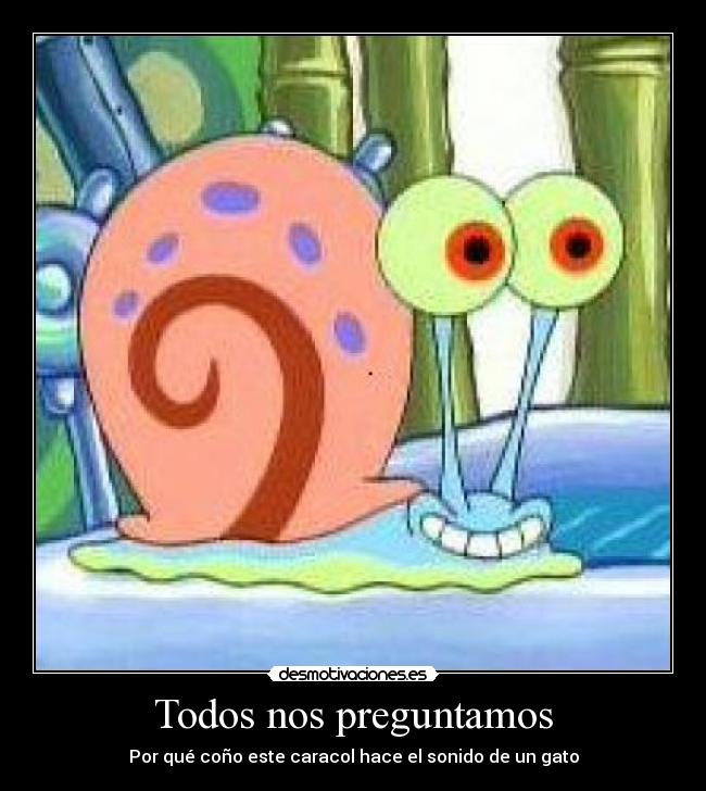 Todos nos preguntamos - 